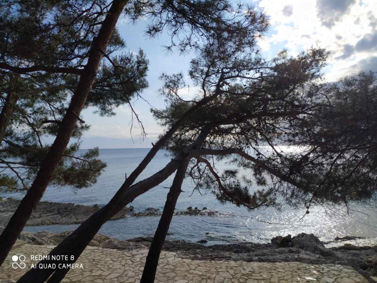 Apartments Marlen Mali Lošinj Esterno foto